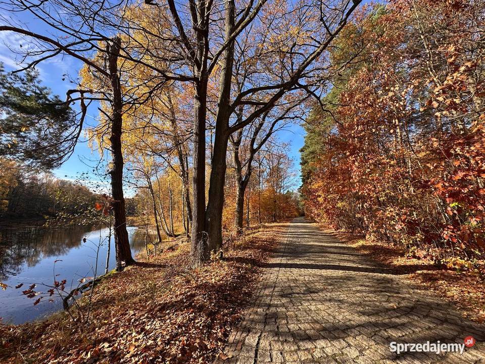 Działka budowlana kolorowe jeziorka Chełmica sprzedam