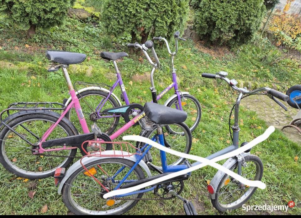 Składak Perła Wigry Gulcz