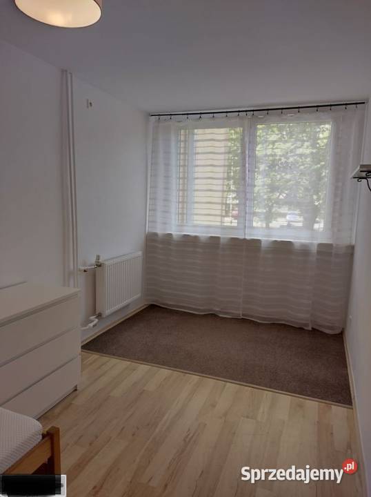 2pok 35met Bacciarellego PIWNICA Wrocław Sprzedaż