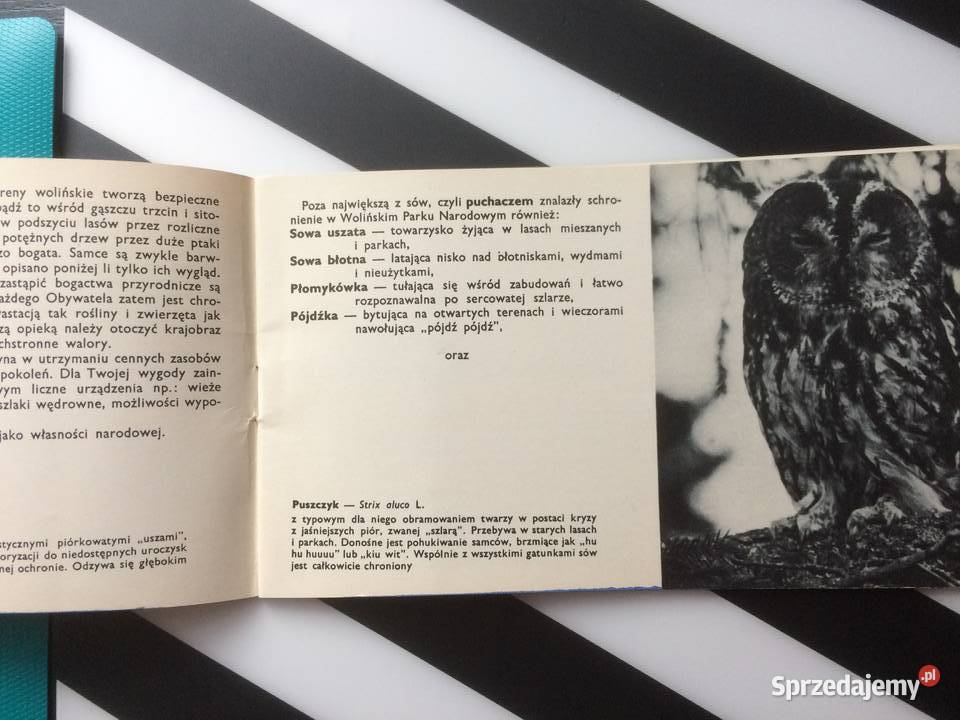 3558 Ptaki Wolińskiego Parku Narodowego Szczecin