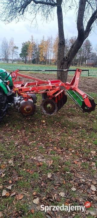 Brona talerzowa kerneland Marianka