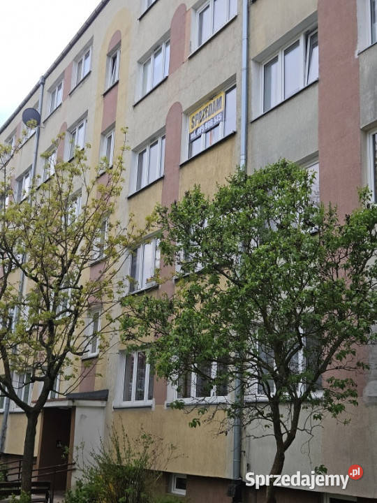 Mieszkanie 2 pokoje polkowice
