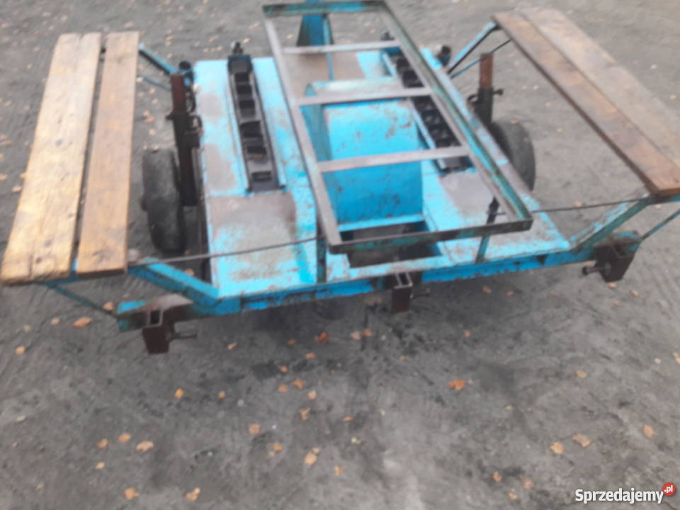 Sadzarka do ziemniaków podkiełkowanych mazowieckie Błonie