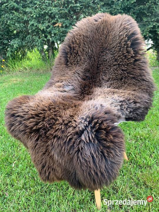 DŁUGOWŁOSE SKÓRY OWCZE HOLENDERSKIE XXL