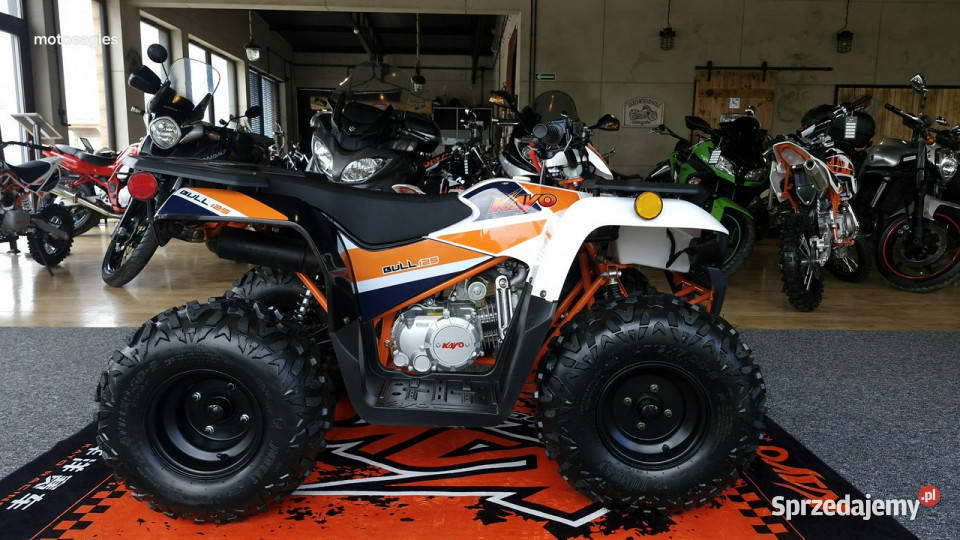 KAYO Inny SALON MOTOCYKLOWY MOTOEAGLES Kayo Rok produkcji 2024 Bicz
