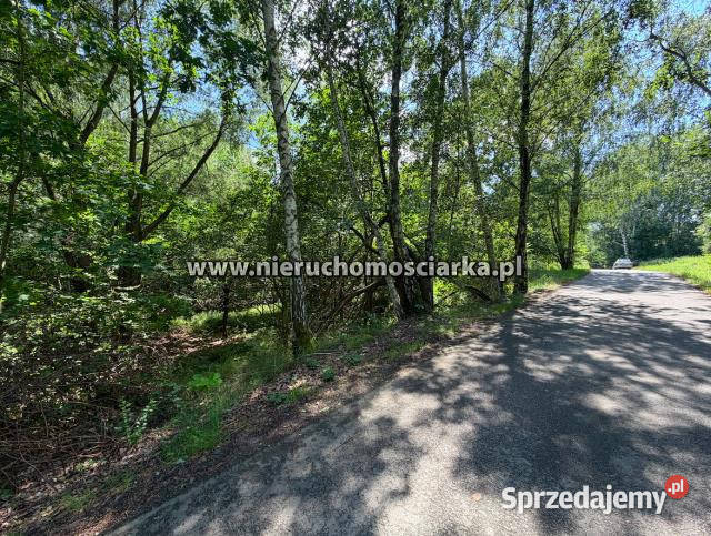 Działka Mszana 3550m2 sprzedam