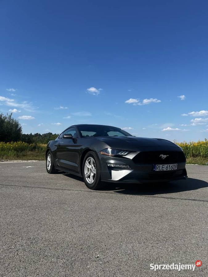 Ford mustang 23 eco boost podkarpackie Leżajsk