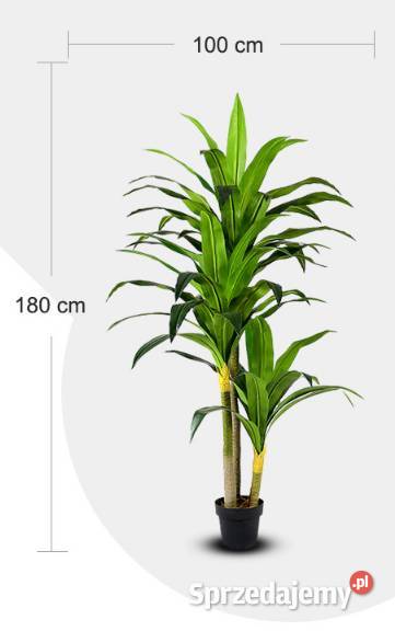 Dracena sztuczne drzewko kwiat roślina donica175 Wąbrzeźno