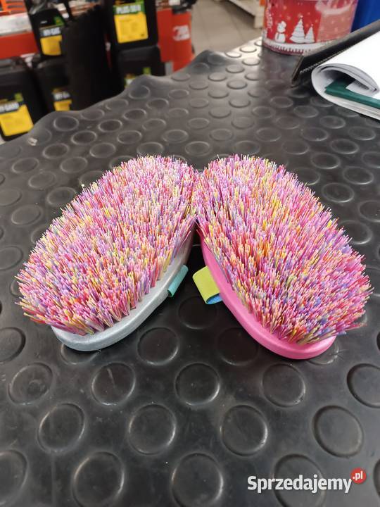 Szczotka konia Kinder Wurzel ze szlufką różne łódzkie