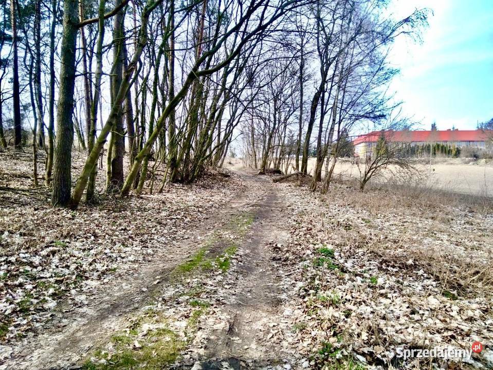 Sprzedam działkę usługowobudowlaną w m Bielice w sprzedam