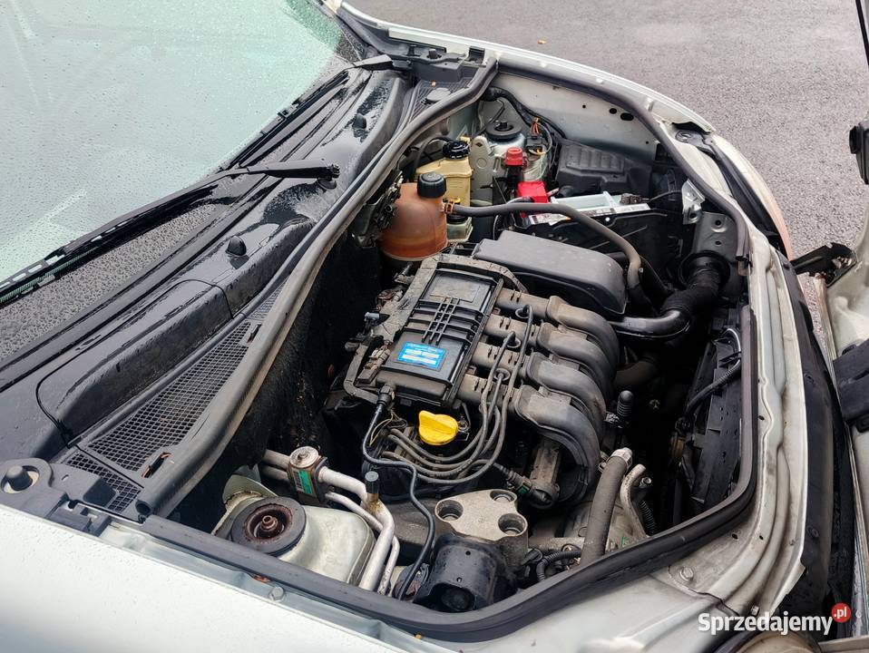 Renault Kangoo 12 16V KLIMA ładny stan 161 wielofunkcyjna kierownica Gryfino