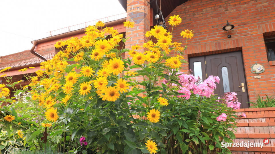 Komfortowy dom w malowniczym Mrągowie Mrągowo