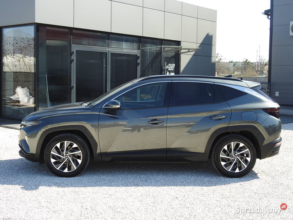 16 CRDI 116 XLINE NAVI KAMERA FULL LED podkarpackie