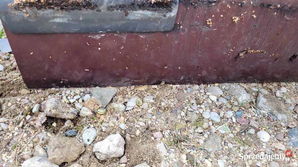 Drzwi Nissan Micra K11 Łagów