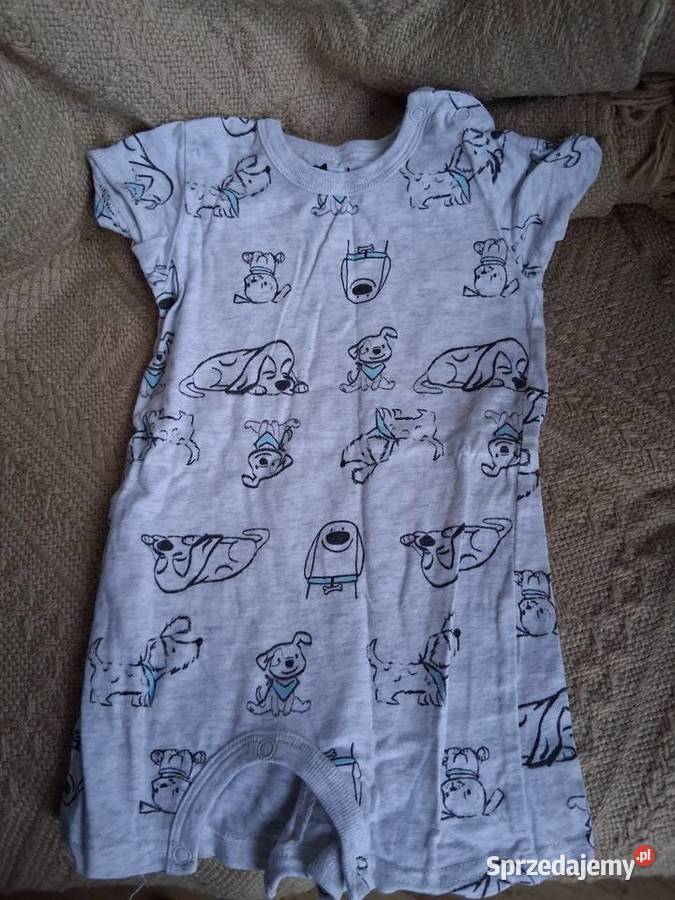 Rozmiar 6878 pomorskie Gdynia