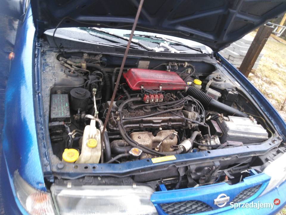 Nissan Almera N15 16 światła przeciwmgielne Sąspów