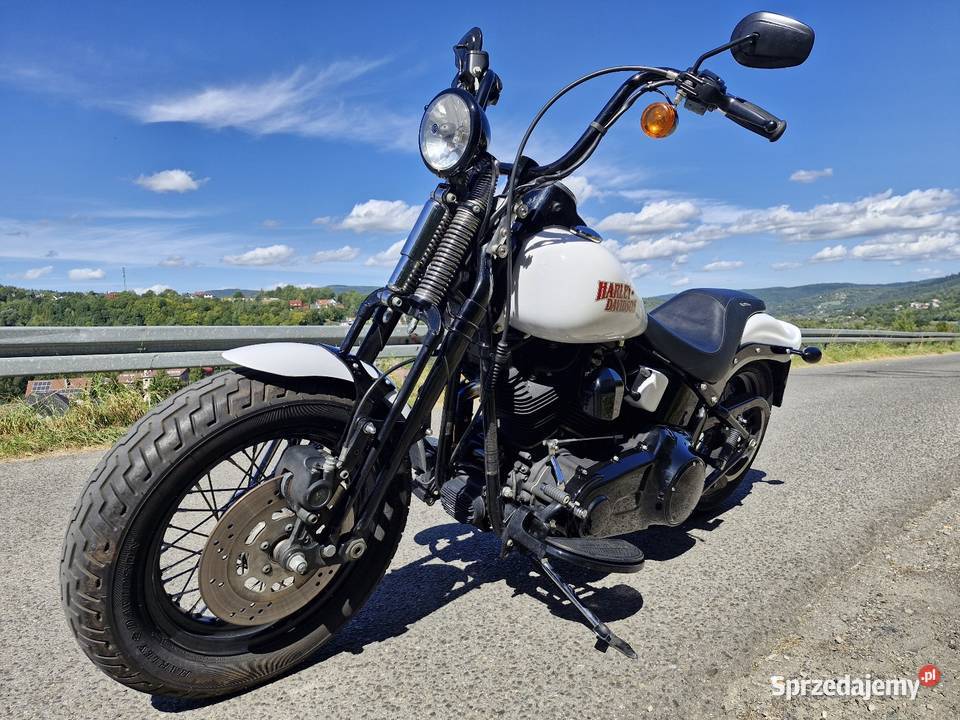 Harley Davidson Softail Cross Bones