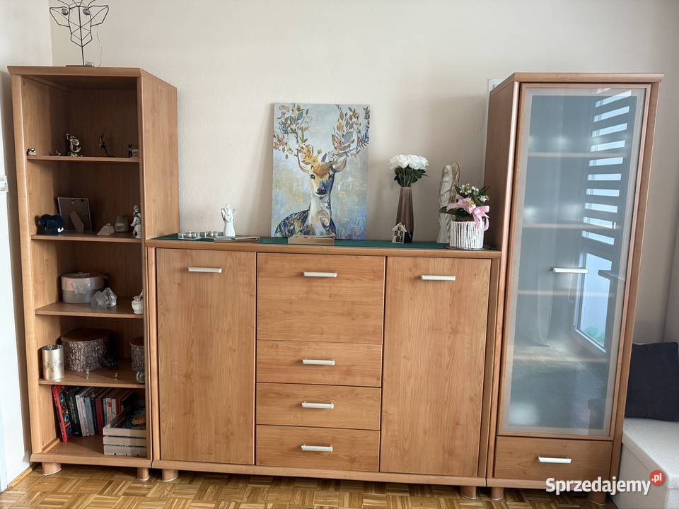 Meble Syriusz BRW 31 Meble do salonu mazowieckie Warszawa