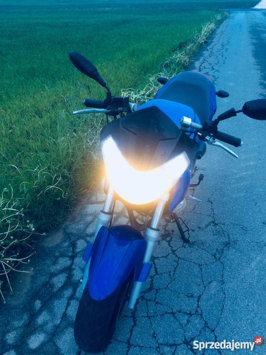 Kingway Fennari 803 Ścigacz Wielmoża sprzedam