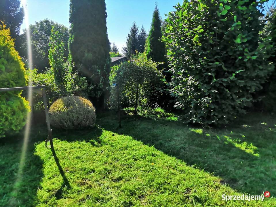 Działka ROD Wójtowa Rola warmińsko-mazurskie Olsztyn