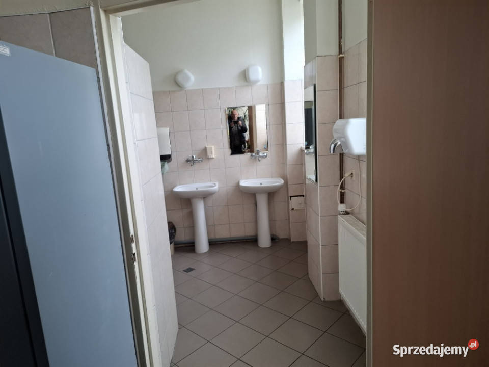 Hala produkcyjna pomieszczenia usługowe dolnośląskie