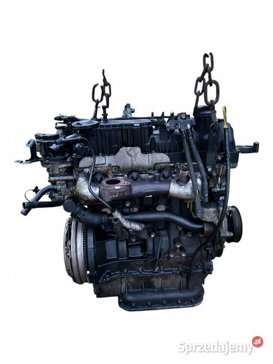 Silnik Kompletny D4HA MT 4x4 20 CRDi Kia osobowe Barłogi