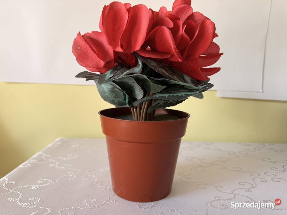 Sztuczny Kwiat Fiołek Alpejski Cyklamen Czerwony