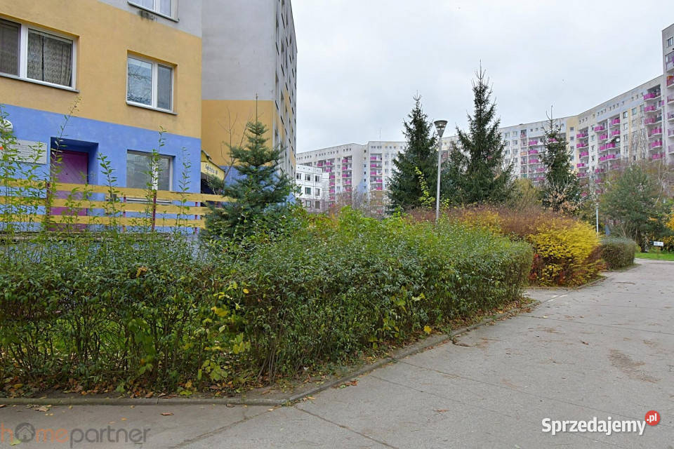 wynajmu mieszkania Wrocław Gołężycka 49m2 2 dolnośląskie