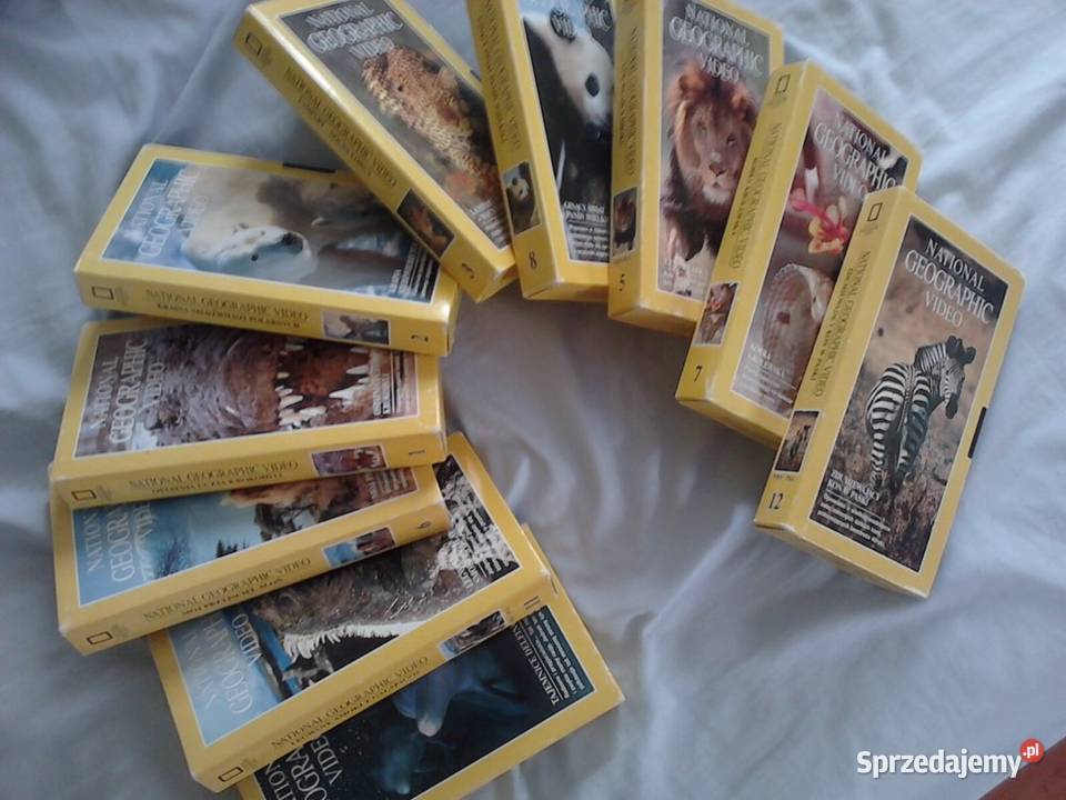 Zdjęcie Baraca Obamy kasety videozwierzęta Włocławek
