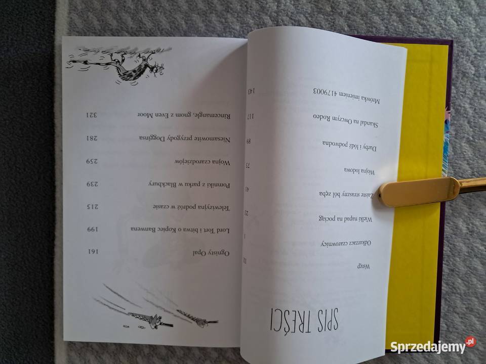 Książka Odkurzacz czarownicy T Pratchett do Kraków