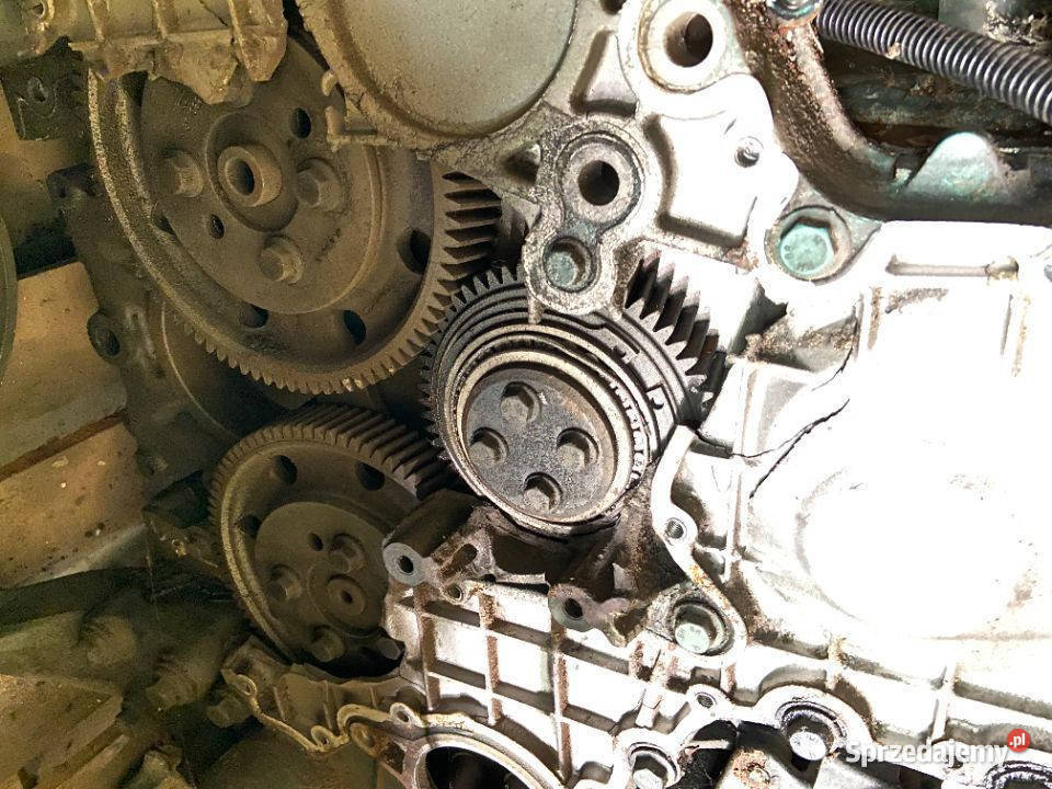 Koła Koło Rozrządu D12A Volvo FM FH ciężarowe lubuskie Maszewo