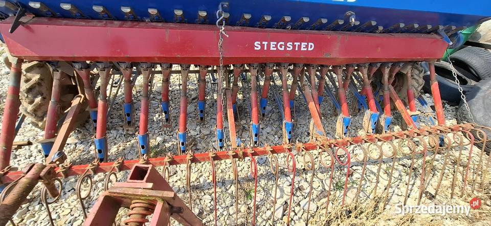 Ted Siewnik Stegsted 3m nie poznaniak amazone Walidrogi