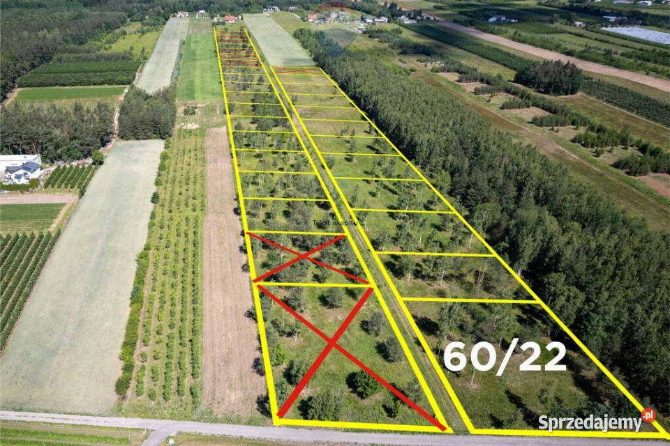 Działka budowlana 6022 Józefów gmina Pniewy