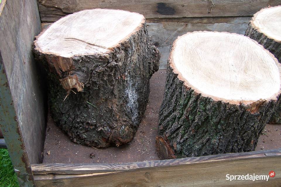 pieńki dębowe 35 35 Malawa sprzedam