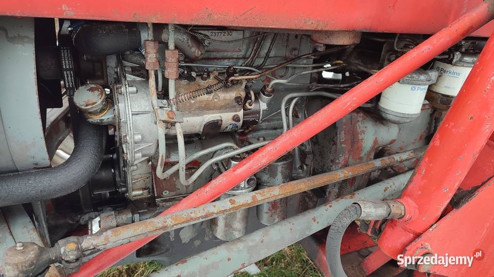 Massey Ferguson 135 multipower Massey Ferguson Limanowa sprzedam
