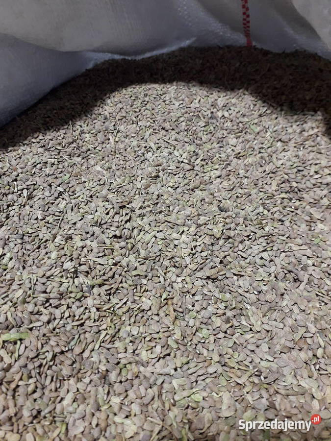 Saladera saladela Kowal