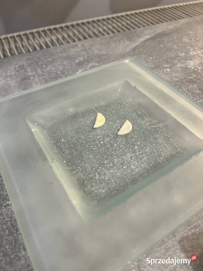 Zestaw 3 talerzy podstawek świątecznych Pozostałe Jasło