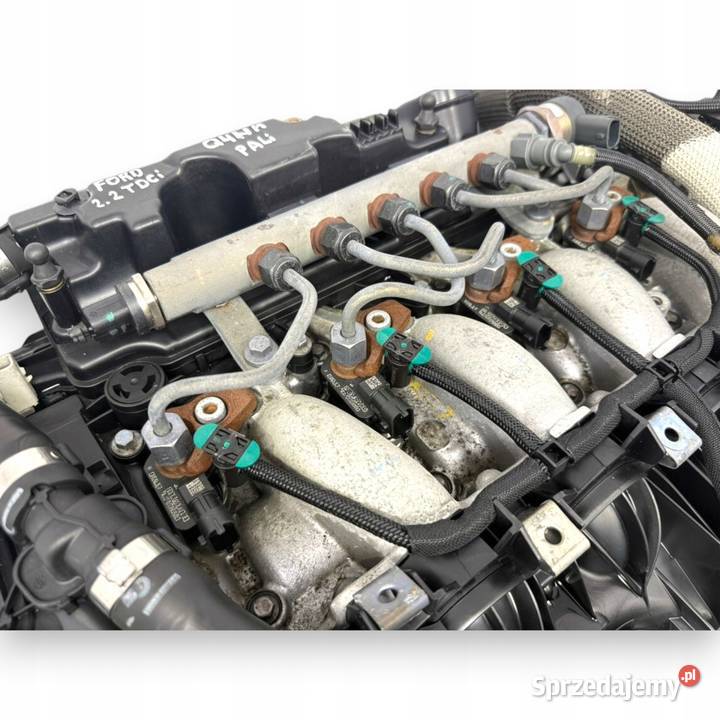 SILNIK Q4WA Ford Galaxy II MK2 S 22 TDCI 175 sprzedam