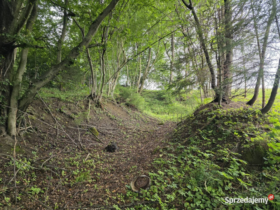 Działka BUDOWLANA 28 arów Bieszczady Bóbrka k budowlana