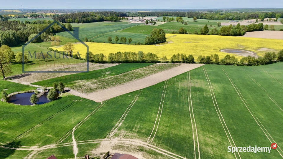 Działka lesie 15 min Iławy i Jezioraka Gulb