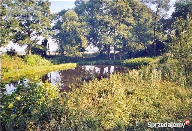 Działka siedliskowa Molendy dom drewniany 102 m2 mazowieckie Molendy sprzedam