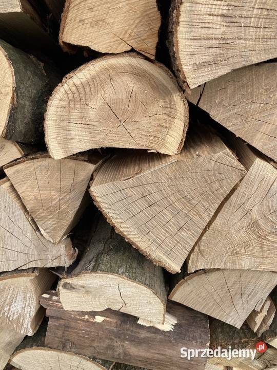 Drewno kominkowe Jesion Tychy