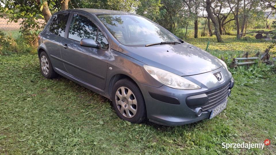 Peugeot 307 14 2005 Rok produkcji 2005 Gorazdowo