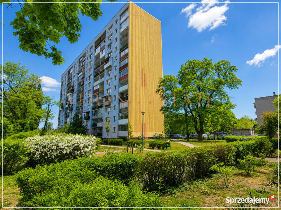 Legionowo kawalerka 3090 m Piętro 10 mazowieckie