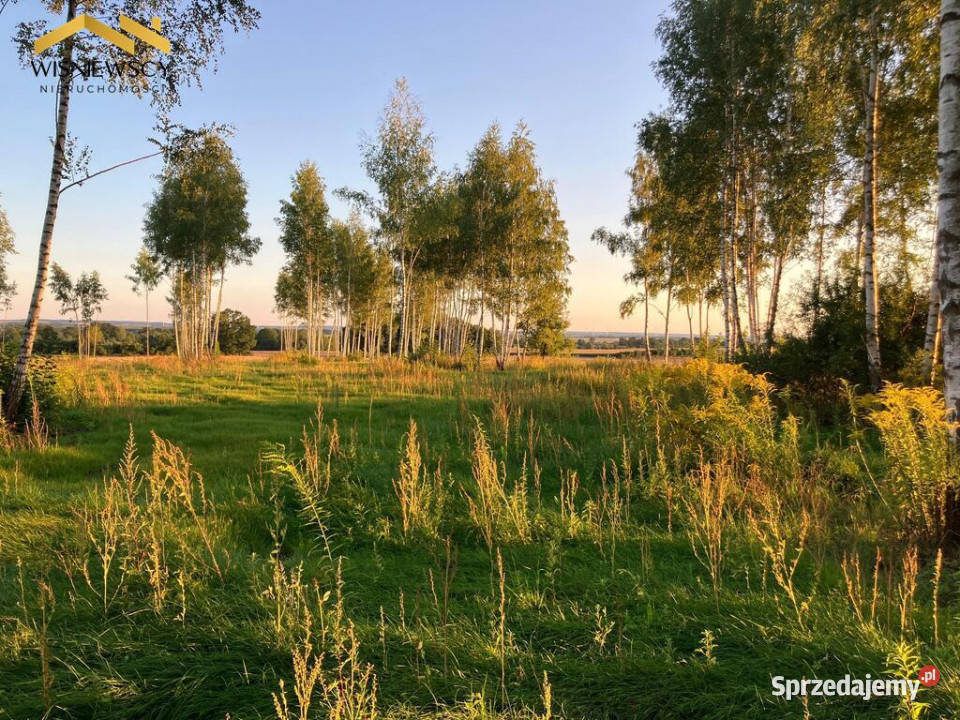 Dawidy działka z WZ 3001 m Sprzedaż