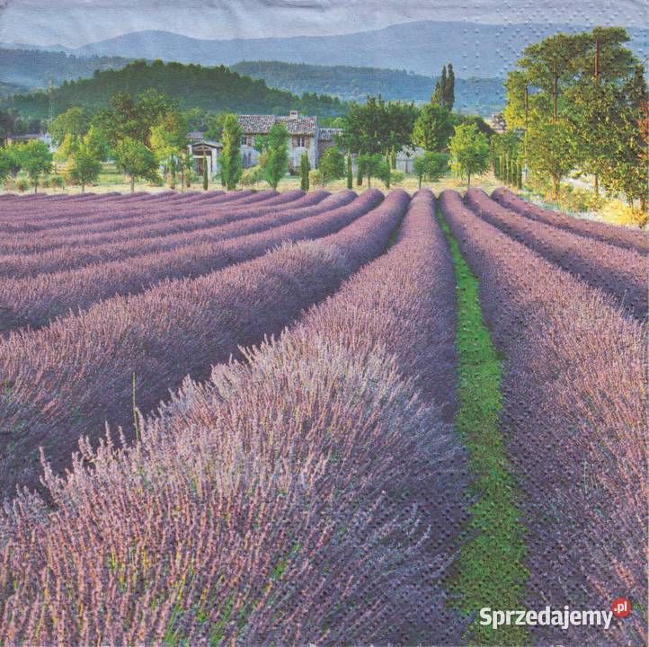 Dekupaż decoupage serwetki kwiaty łąz Skarżysko-Kamienna sprzedam