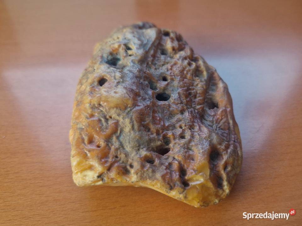 Bursztyn bałtycki 136 g wyjątkowy okaz Warszawa