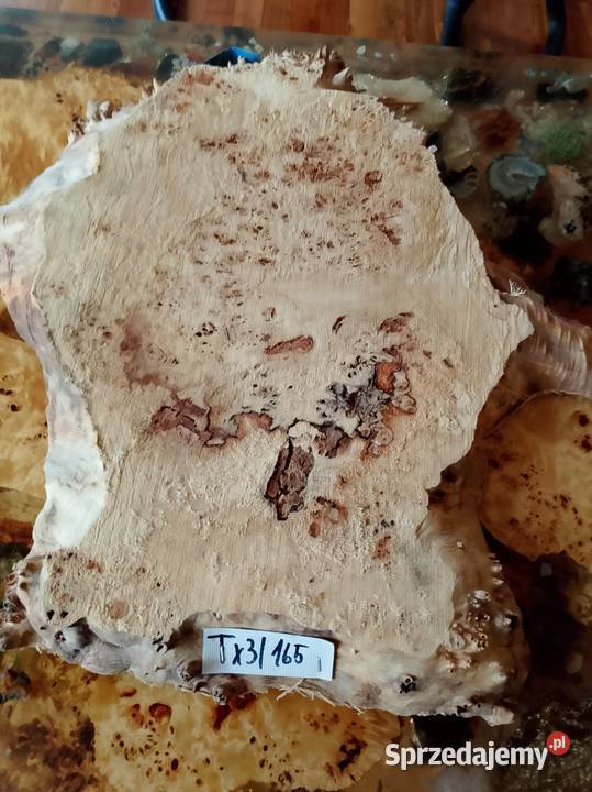 Topola czeczot plaster deska Nowy Tomyśl