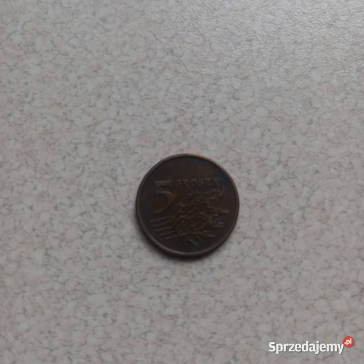 5groszy Pozostałe Mrozy sprzedam