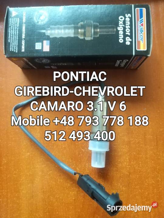 SONDA LAMBDA PONTIAC FIREBIRD CHEVROLET CAMARO Pozostałe Części samochodowe Kawnice sprzedam
